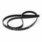 Poly-v drive belt for LG 4400FR3116A washing machine drum (Compatible part) Shipping costs from €5.90 Poly-v drive belt for LG 4400FR3116A washing machine drum (Compatible part) Shipping costs from €5.90