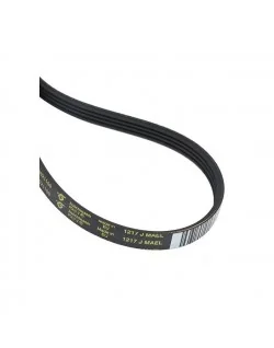 Courroie d'entrainement pour tambour de lave-linge Electrolux 1240211001 (pièce compatible) 