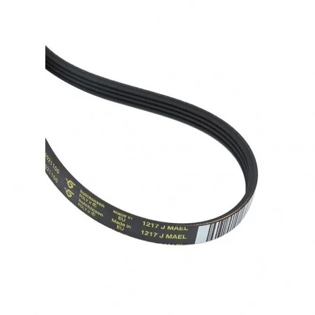 Courroie d'entrainement pour tambour de lave-linge Electrolux compatible