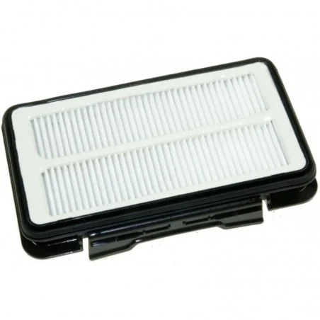 Filtro HEPA per aspirapolvere Rowenta (parte compatibile) economico