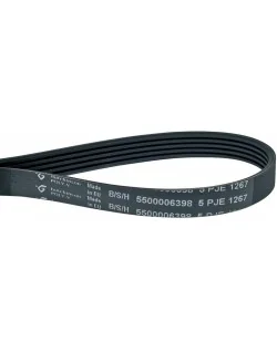 Courroie de transmission pour tambour de lave-linge Bosch - Siemens 00369482 (Pièce d'origine) 