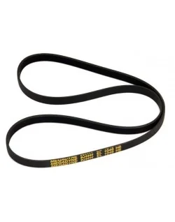 Courroie d'entrainement Poly-v pour tambour de lave-linge Ariston C00074218 (pièce compatible) 