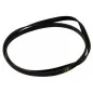 Courroie pour tambour de lave-linge Ariston C00141664 (pièce d'origine) Courroie pour tambour de lave-linge Ariston C00141664 (pièce d'origine)