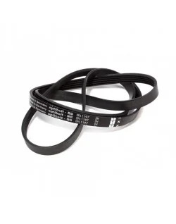 Cinghia Poly-V per cestello lavatrice multimarca 481281718147 (parte compatibile)