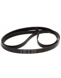 Courroie de transmission Poly-v 1967H7 de Sèche-linge BEKO 2953240200 (Compatible) 