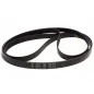 Courroie de transmission Poly-v 1967H7 de Sèche-linge BEKO 2953240200 (Compatible) Courroie de transmission Poly-v 1967H7 de Sèche-linge BEKO 2953240200 (Compatible)