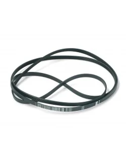 Courroie Poly-v 1951H6 pour tambour de Sèche-linge Candy - Hoover 03850301 (Pièce compatible) 