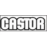 CASTOR